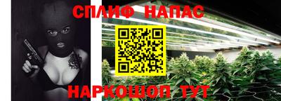 стафф Славянск-на-Кубани
